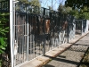 hundehaus-04