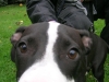 schnapp-02