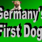 First Dog