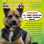 Sommerfestplakat 2012 HP
