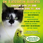 Sommerfestplakat 2013 HP