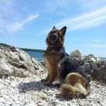 Anka 2