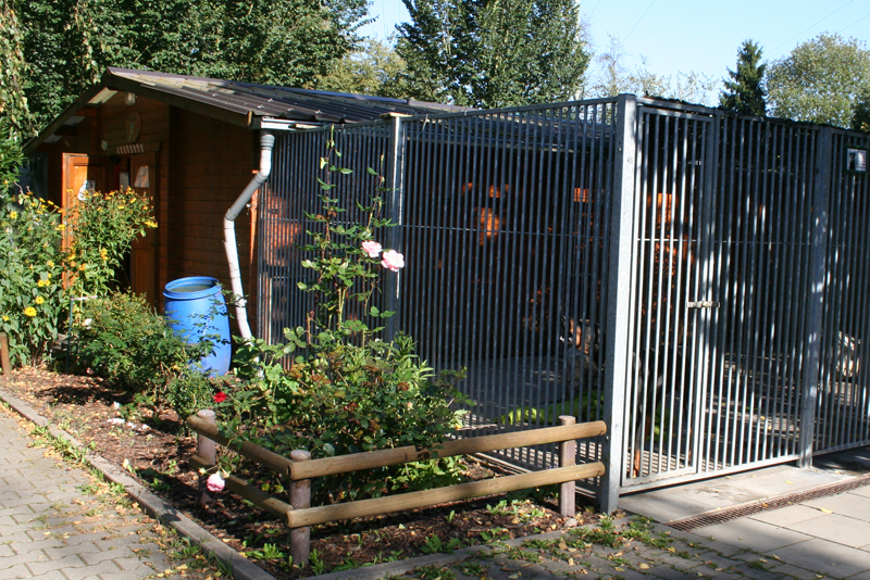 » Hundepension - Tierheim Hilden e.V.