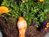 ostern04
